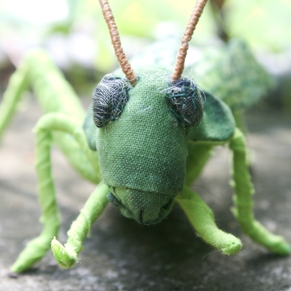 grasshopperdetail3